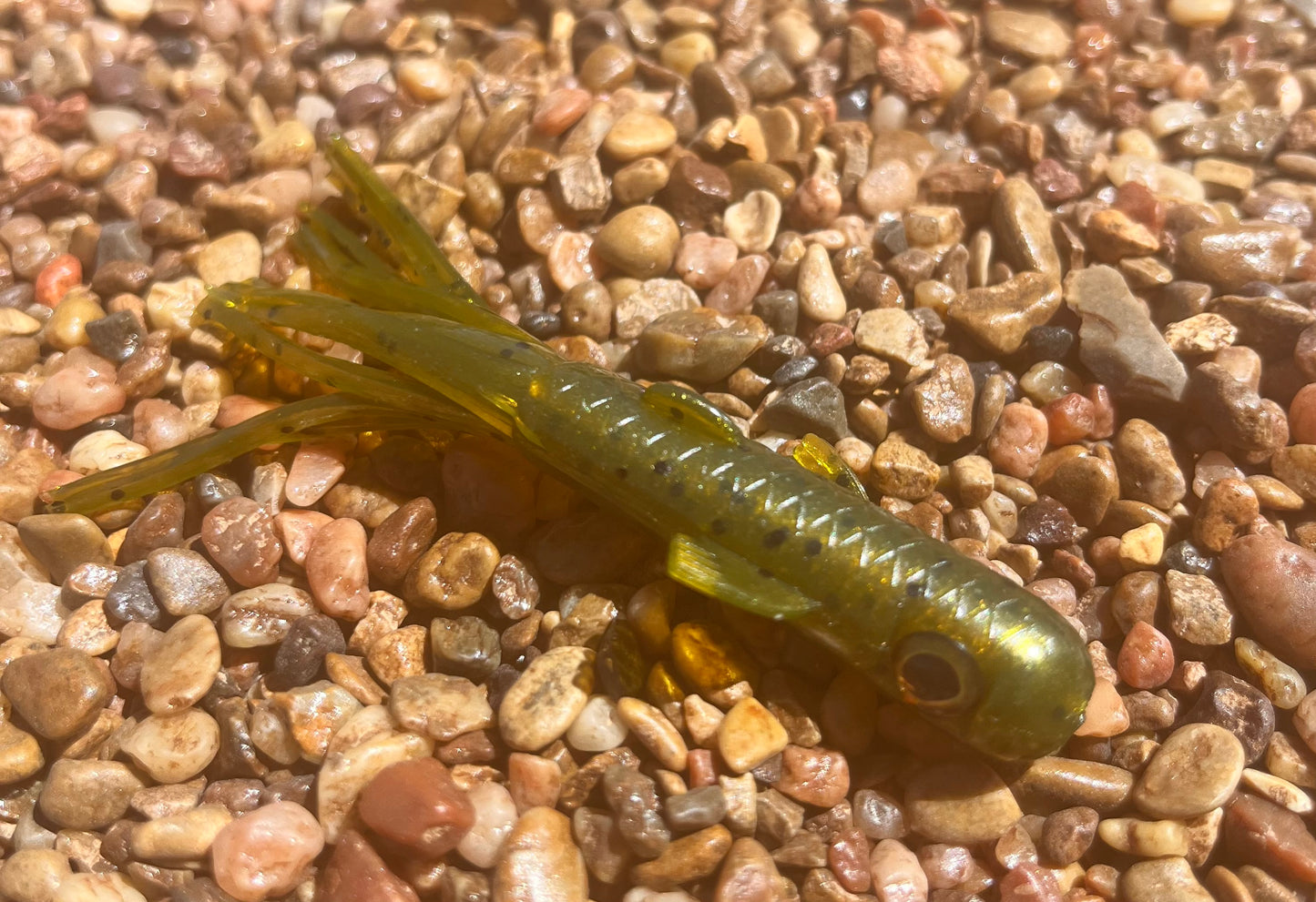 3.5" Trophy Chaser