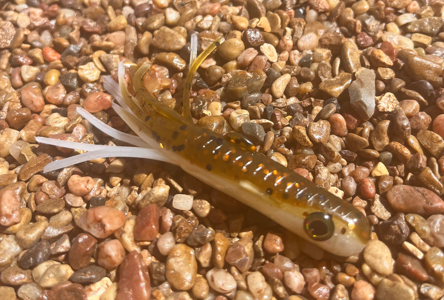 3.5" Trophy Chaser