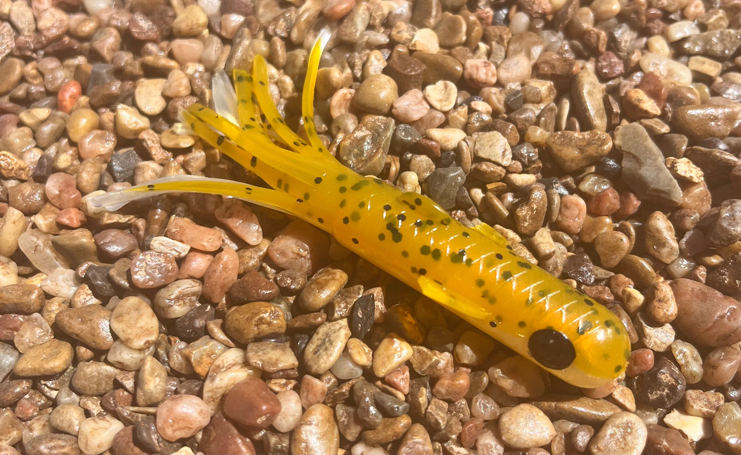 3.5" Trophy Chaser