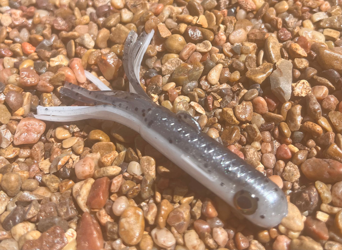 3.5" Trophy Chaser