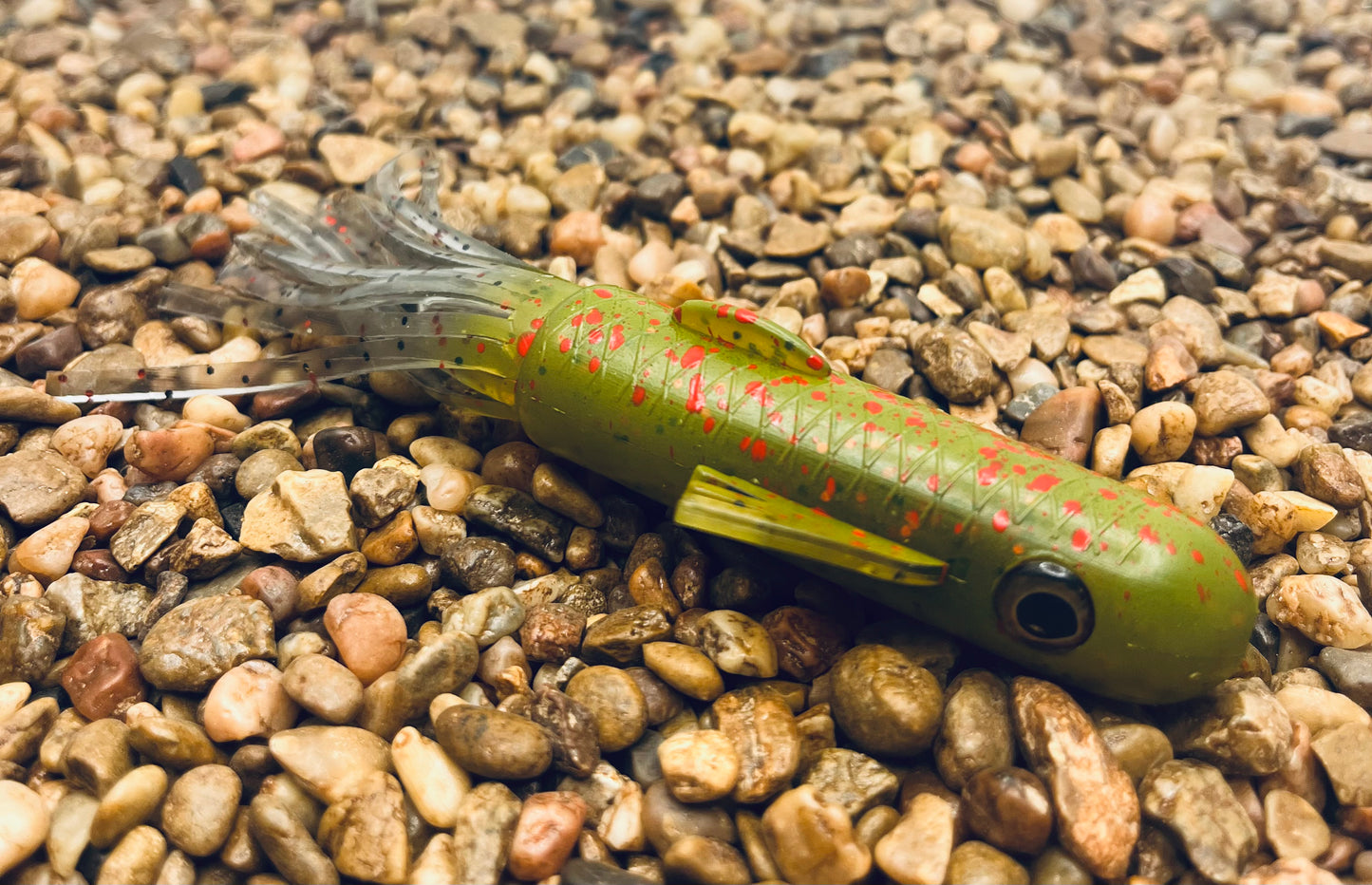 5" Trophy Chaser