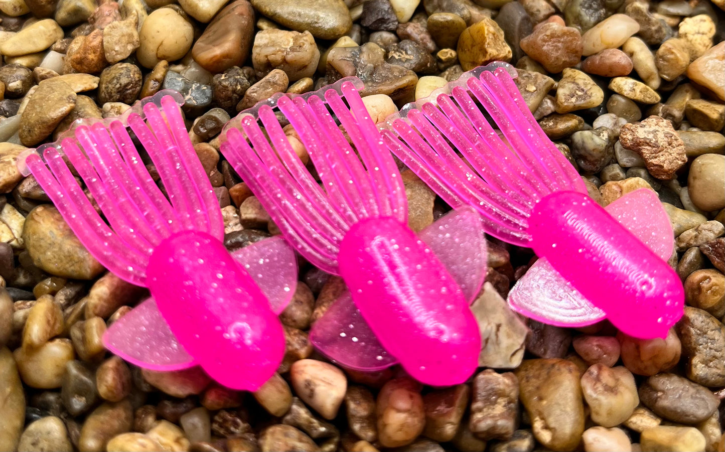 1.5" Trophy Chaser
