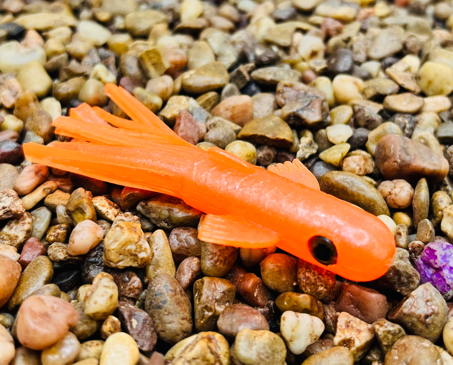 2.5" Trophy Chaser