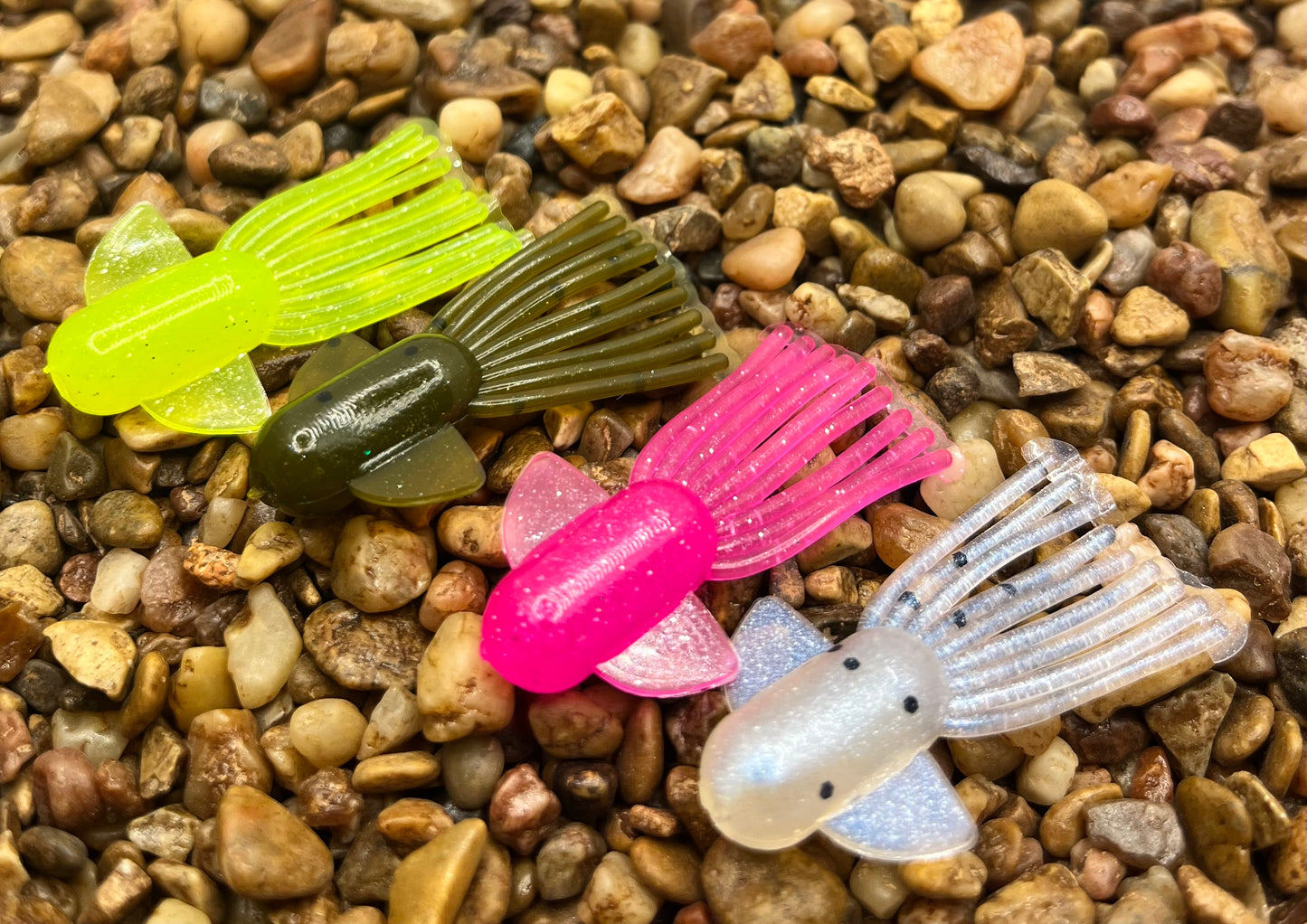 1.5" Trophy Chaser