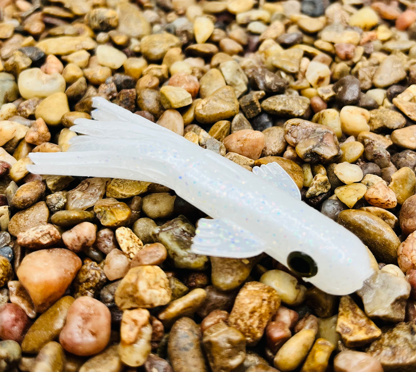 2.5" Trophy Chaser