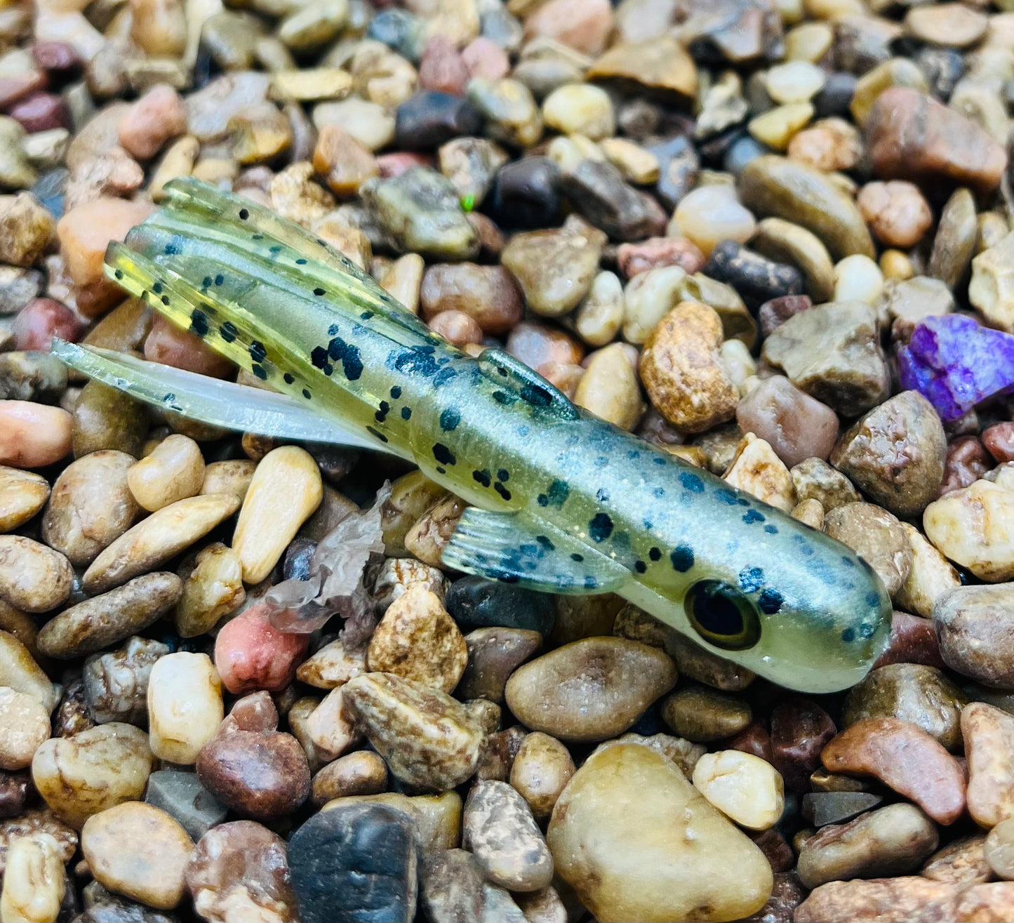 2.5" Trophy Chaser