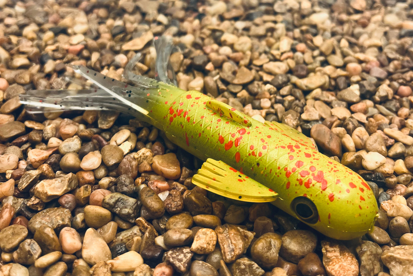 5" Trophy Chaser