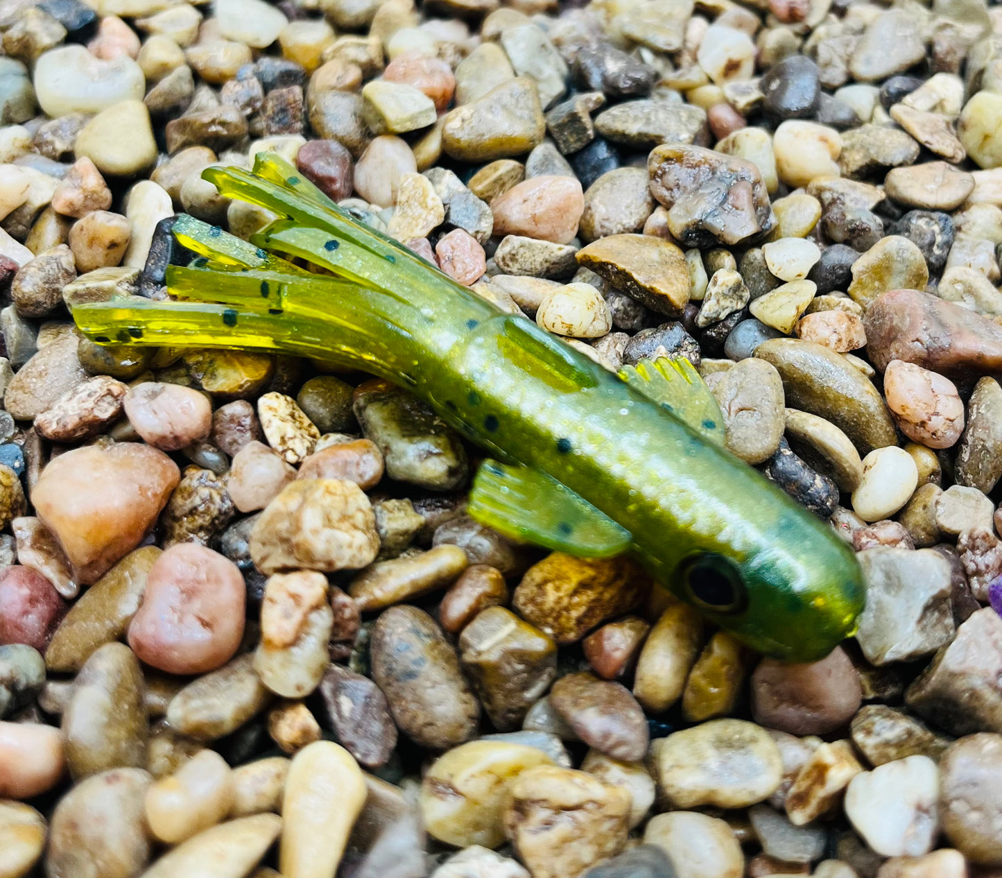 2.5" Trophy Chaser