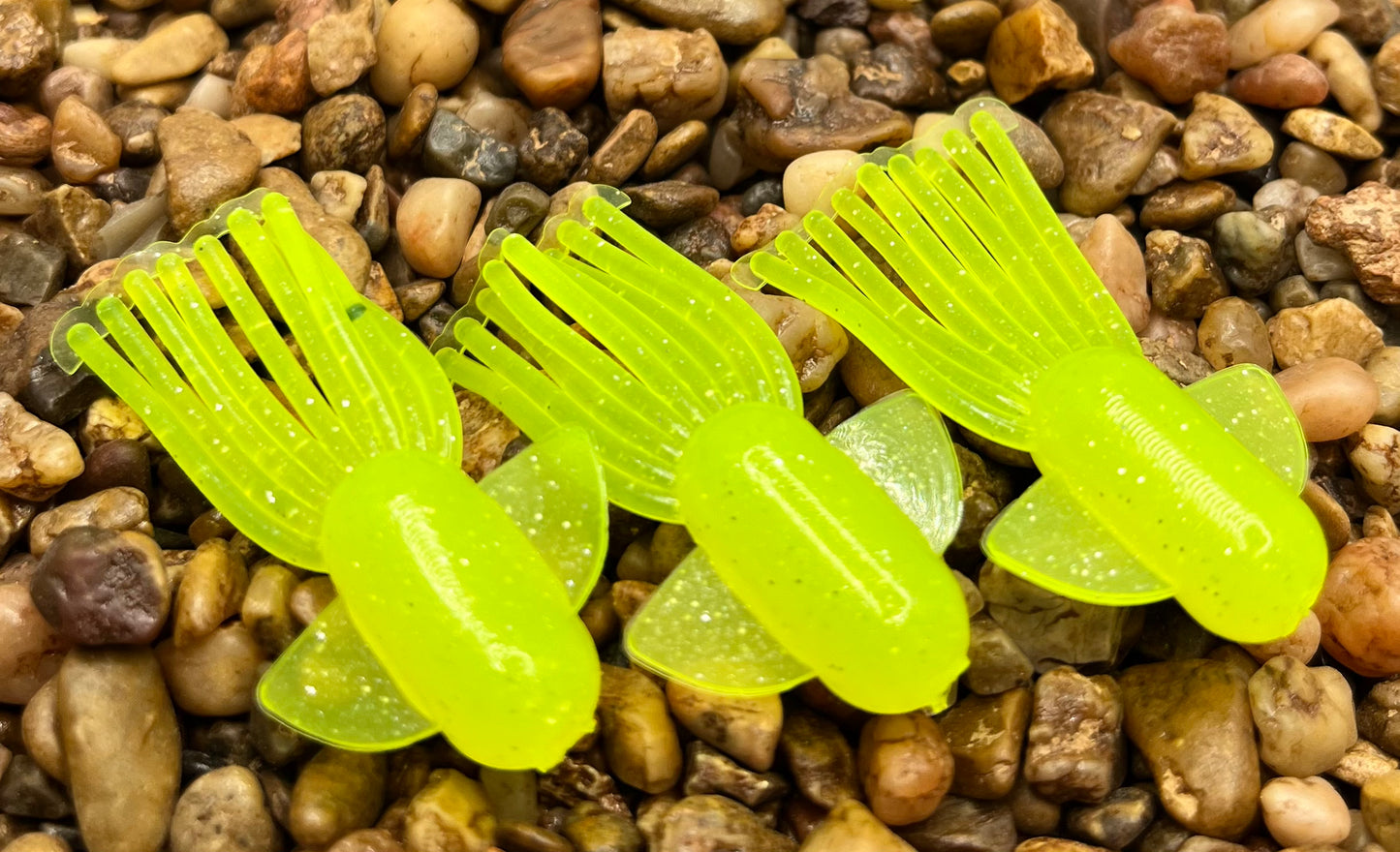 1.5" Trophy Chaser