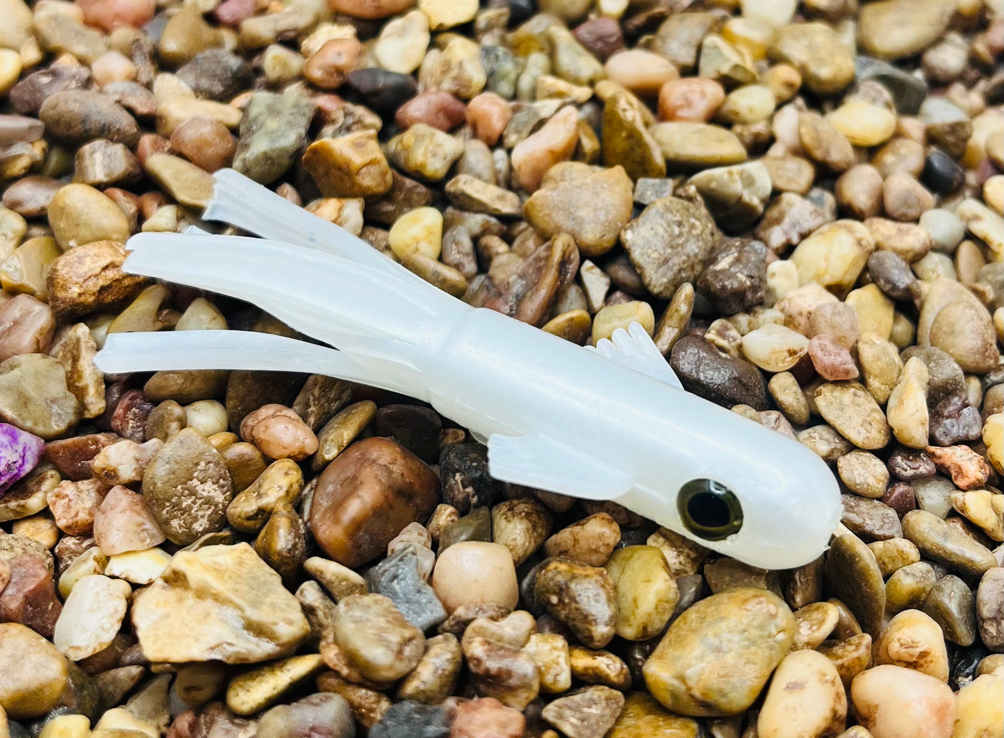 2.5" Trophy Chaser