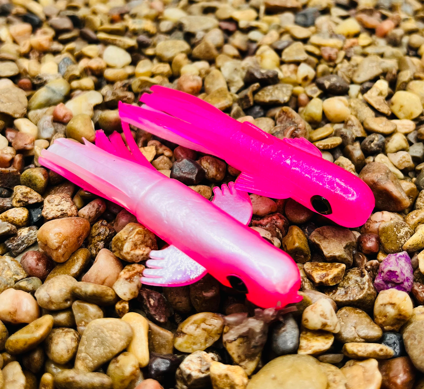 2.5" Trophy Chaser