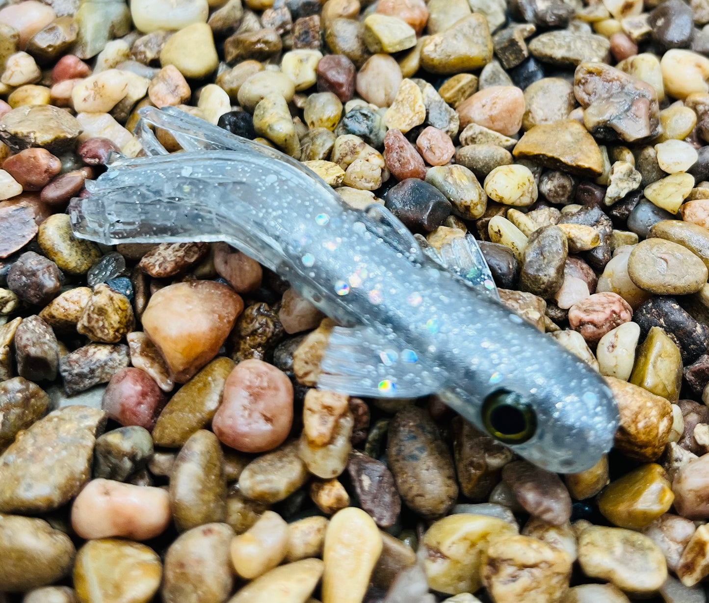 2.5" Trophy Chaser
