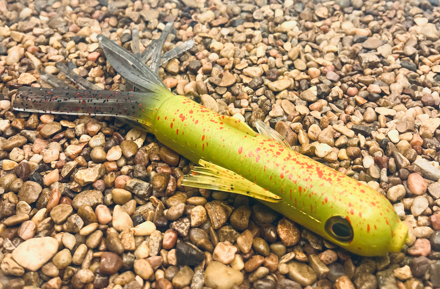 7" Trophy Chaser