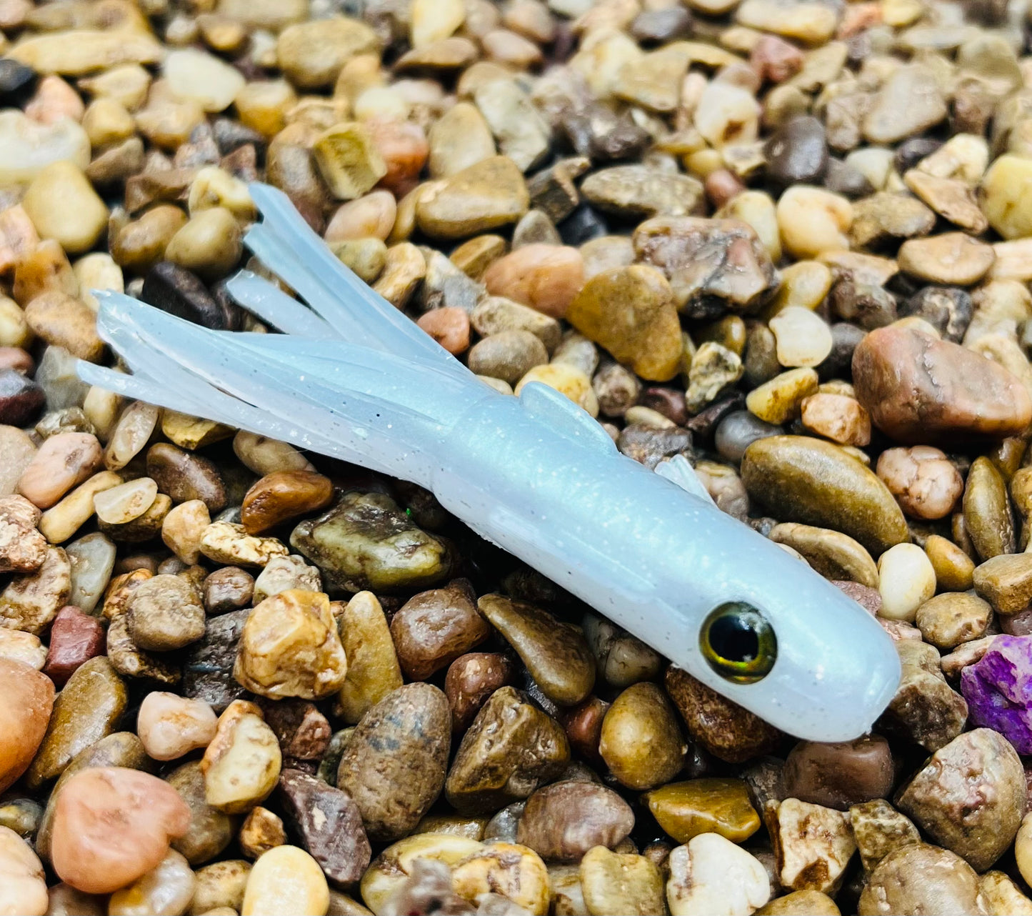 2.5" Trophy Chaser