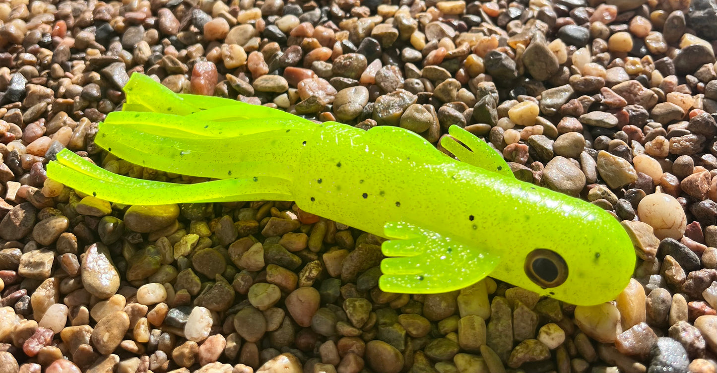 5" Trophy Chaser