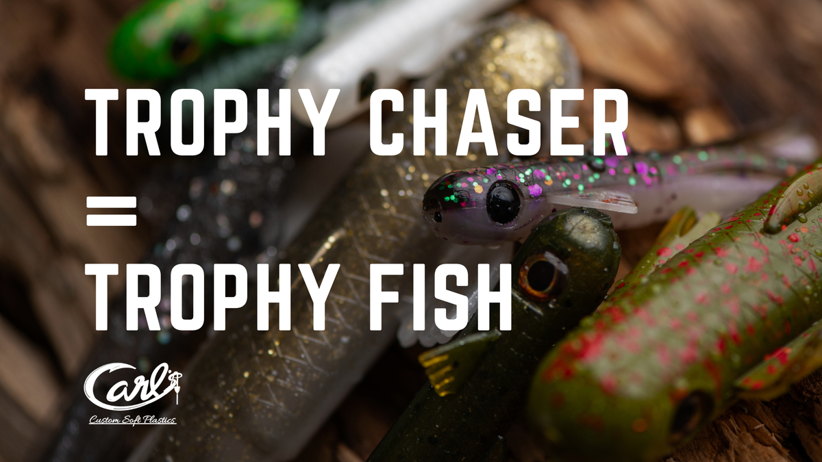 Trophy Chaser = Trophy Fish