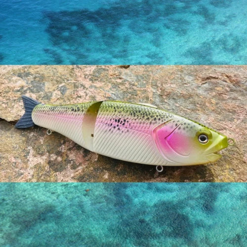 Hard Baits