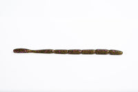 M.P. Worm