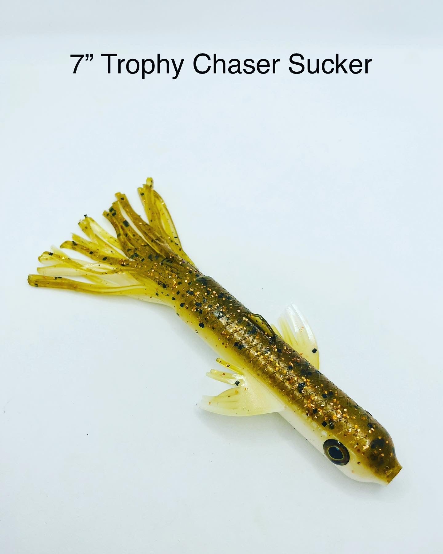 7" Trophy Chaser