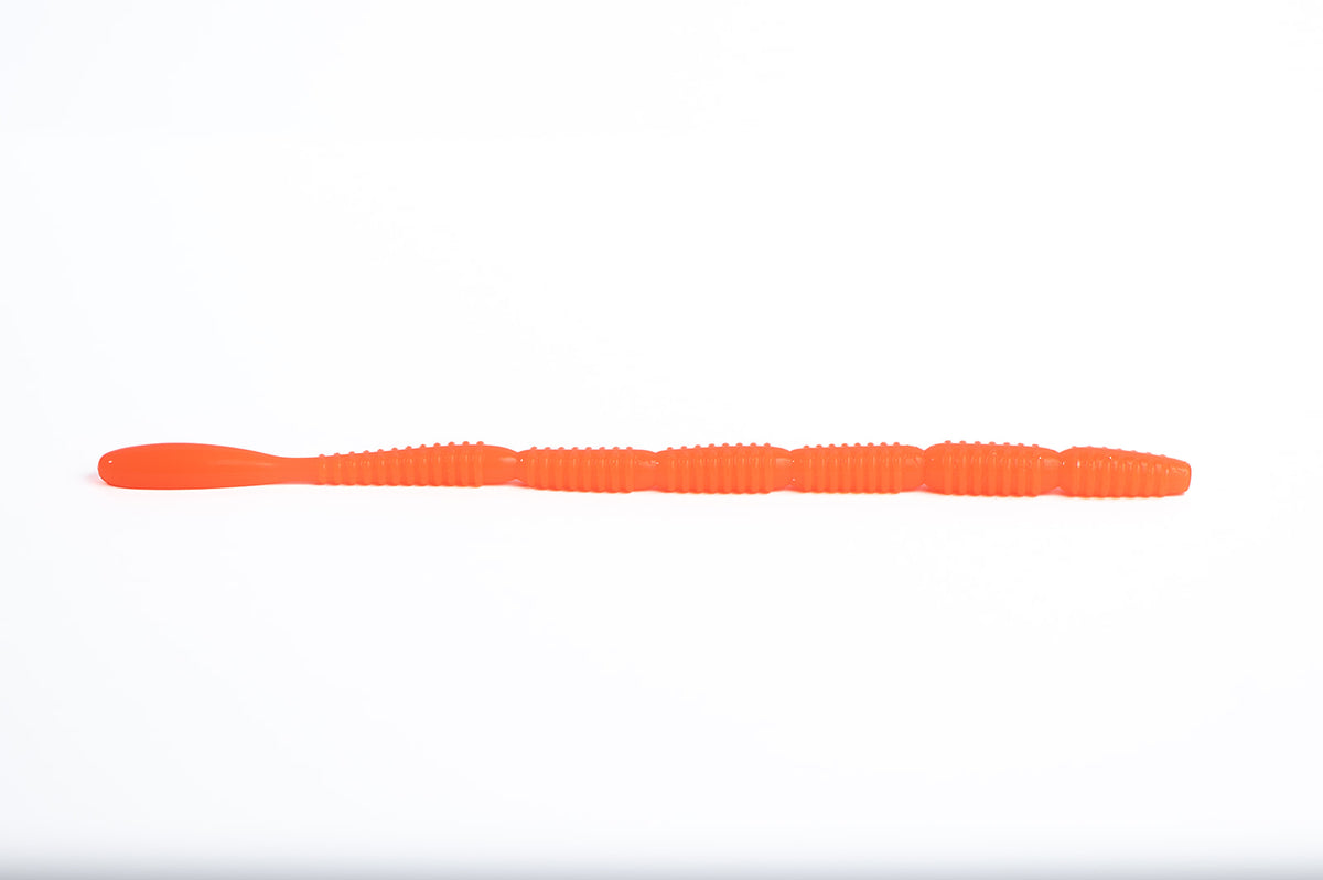 M.P. Worm