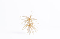 Carl Urch 10MM Medium