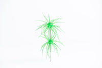 Carl Urch 10MM Medium
