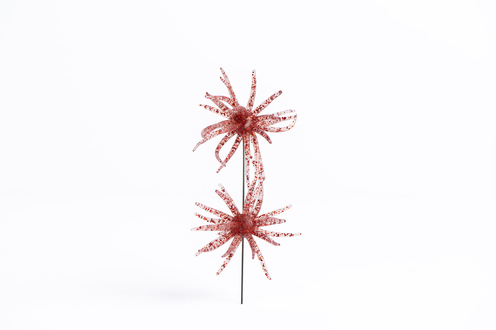 Carl Urch 10MM Small