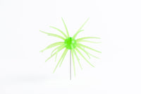 Carl Urch 19MM