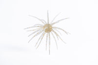 Carl Urch 19MM
